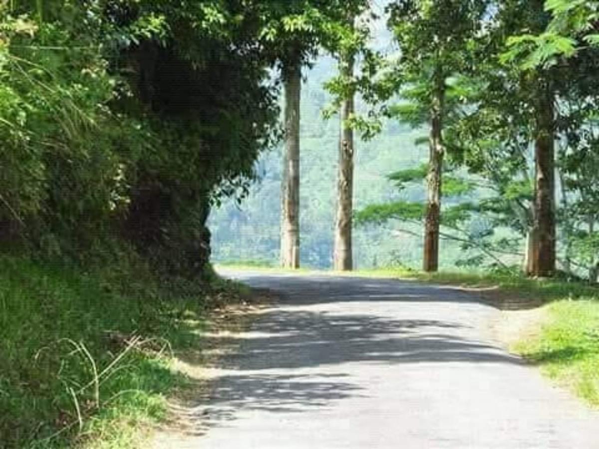 埃拉Adannz住宿加早餐旅馆 外观 照片